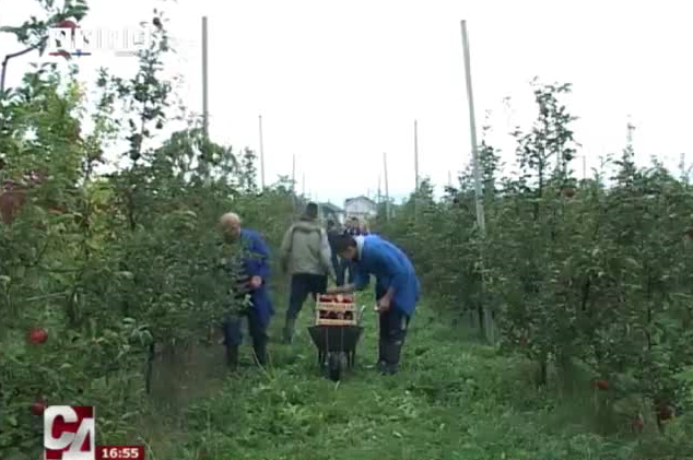 Intenzivne aktivnosti u voćnjaku, plastenicima i poljima Poljoprivredno- prehrambene škole u Prijedoru (VIDEO)