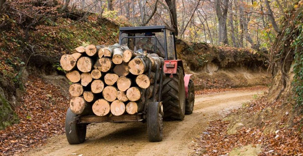 Krađama vlasnika šume oštetili za 8.000 KM
