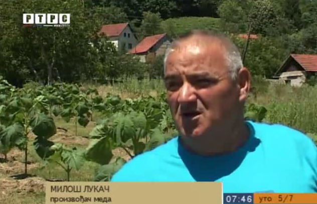 Prijedorčanin Miloš Lukač proizvodi heljdin med (VIDEO)