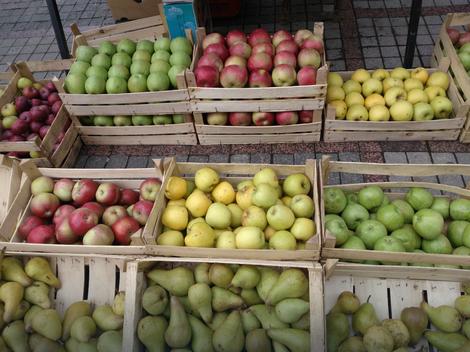 U prijedorskim voćnjacima veliki gubici šljive, kruške i jabuke