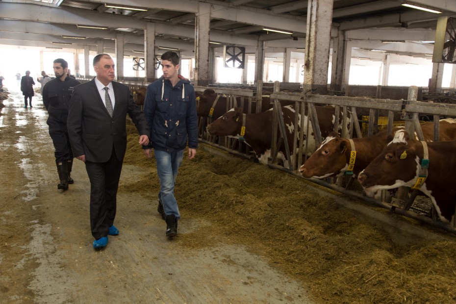 Riješenje za farmu "Arifagić" na pomolu