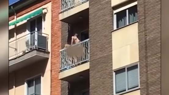 Seks na balkonu video