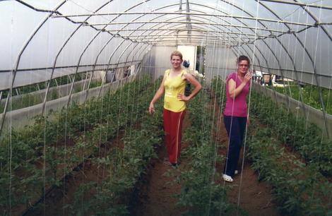 Mali biznis u plastenicima: Uzgoj povrća i cveća u Prijedoru sve popularniji