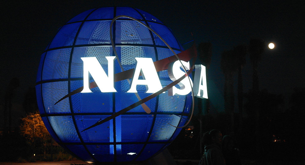 NASA: Bromelija zaustavlja hrkanje i čisti vazduh u sobi