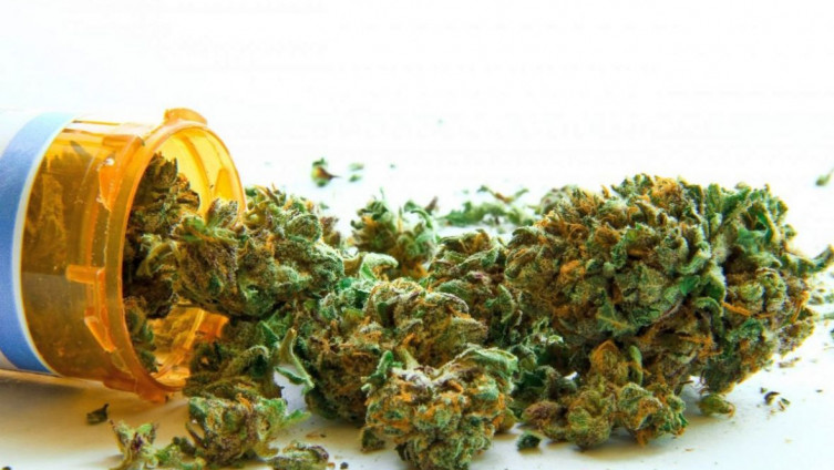 Još nema naznaka kada će se marihuana kao lijek naći na rafama bh. apoteka