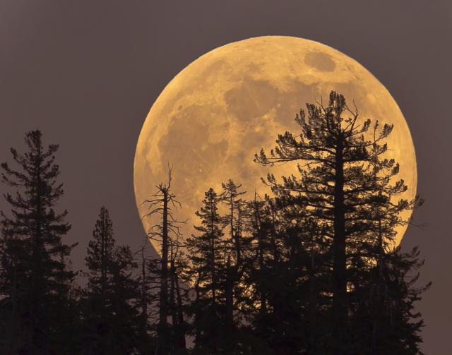 ZOVU GA I SUPERMESEC Nebo će 1. januara obasjati "vučji Mesec"