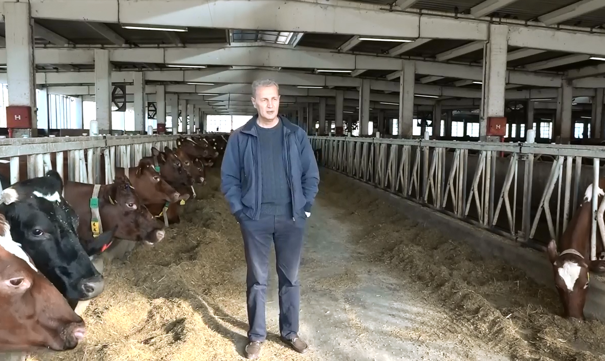 Farma "Arifagić" planira proizvodnju od tri miliona litara mlijeka (VIDEO)