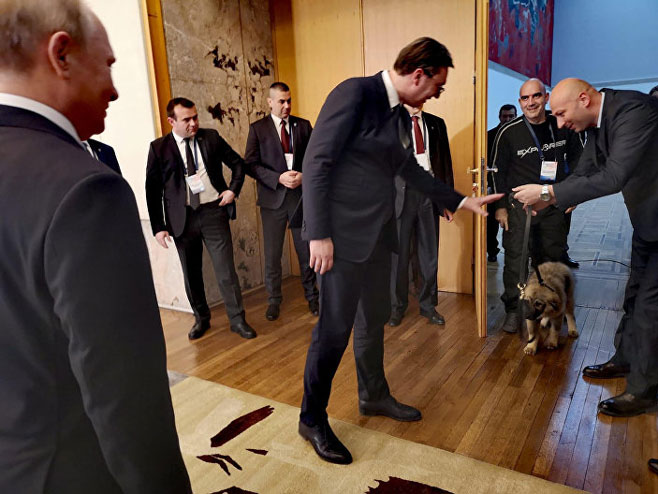 Putin i Paša (FOTO/VIDEO)