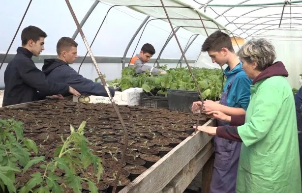 Učenici prijedorske Poljoprivredno-prehrambene  škole u dva plastenika  proizvode rasad ranog povrća (VIDEO)