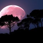 Horoskop za roze Mesec: Evo kako će ovaj redak fenomen uticati na vaš život