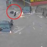 POPUT HOROR FILMA Mladu odbojkašicu tokom poplava PROGUTAO ŠAHT (VIDEO)