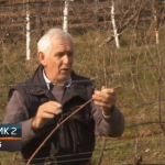 Potkozarje postaje poznato po dobrim vinima (VIDEO)