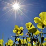 Sutra sunčano i toplije vrijeme: Temperatura do 18 stepeni Celzijusovih