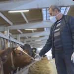 Gradska uprava "ZABORAVILA" da isplati podsticaje i proizvođačima mlijeka