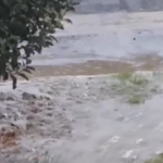 Dok se stanovnici ulice 7. septembar u Aerodromskom naselju bore sa fekalijama u kućama, načelnik Ritan radi na izradi projekta (VIDEO)