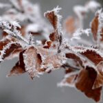 Početkom sedmice JAK MRAZ: I narednih dana u Srpskoj snijeg, hladno i olujno