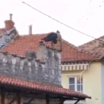 Vježbe mu se obile o glavu: Isplivao snimak mladića koji je u Trebinju pao nakon sklekova (UZNEMIRUJUĆI VIDEO)