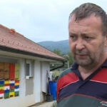 Za kilogram dobije 50.000 evra: Domaćin iz sela kod Prijedora izvozi pčelinji otrov i u SAD (VIDEO)