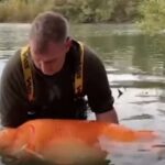 Borba je trajala skoro pola sata: Britanac ulovio zlatnu ribicu tešku 30 kilograma (VIDEO)