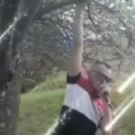 Samo na Balkanu! "Objesio" se od drvo i zapjevao (VIDEO)