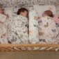 U Srpskoj rođeno 26 beba, u Prijedoru 1 beba
