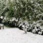 Aprilski snijeg zabijelio dijelove Republike Srpske (FOTO/VIDEO)