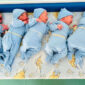 U Srpskoj rođene 24 bebe, u Prijedoru 1 beba