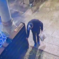 (VIDEO) Krađa ispred Ferhadije: Lopov UKRAO CIPELE ispred džamije