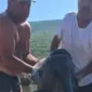 (FOTO) “Borba je bila velika” Neđo i Dobran u Bilećkom jezeru UPECALI KAPITALCA dugog 212 centimetara i teška 55 kilograma