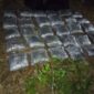 U Srpskoj zaplijenjena 33 kilograma droge, dvojica uhapšena (FOTO/VIDEO)
