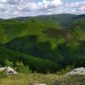 “Priroda nam govori: Zaštitimo naše šume”