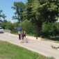 Biciklista preminuo nakon sudara sa motociklistom u Tesliću