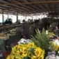 Građani kupuju na grame: Cijene osnovnih životnih namirnica rastu iz dana u dan