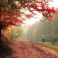 Meteorolozi objavili prognozu za naredne dane: Šta nam donosi septembar?