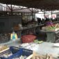 Bogata jesenja ponuda na Gradskoj tržnici