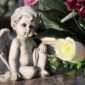 Sutra su Duhovske zadušnice, u crkvu ponesite 2 spiska: Sveštenik otkrio šta se radi u kući, a šta na groblju