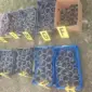 Opsadno stanje u Kneževu: Prijetnje dovele žandarmeriju do droge