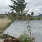 U Garavicama u ponedjeljak obilježavanje 85 godina od ustaškog zločina nad 12.000 Srba