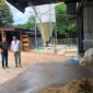 BRAČNI PAR IZ HOLANDIJE OSNOVAO FARMU KRAVA U BIŠĆANIMA