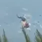 Stradali danski pilot i grčki koordinator: Potvrđeno ko je poginuo u sudaru helikoptera kod Atine