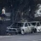 Omiš spaljen: Zašto se požar tako brzo širio?