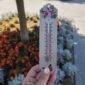 (FOTO) Vrućine se ne predaju: I narednih dana do +40, meteorolozi upozoravaju na vikend koji je pred nama