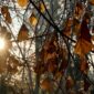 Temperatura do 24 stepena: U Srpskoj danas pretežno sunčano vrijeme