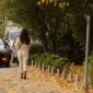SUNČANO I PROHLADNO JUTRO Tokom dana do 22 stepena, u ovim krajevima duva jaka bura