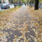 PREOKRET VREMENA Sunce donosi temperature do 22 stepena, ali jutro hladnoću i maglu