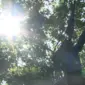 Oktobarske temperature obaraju rekorde u Srpskoj: Evo šta nas očekuje