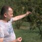 (VIDEO) LJEŠNJAK KAO NOVA POLJOPRIVREDNA ŠANSA